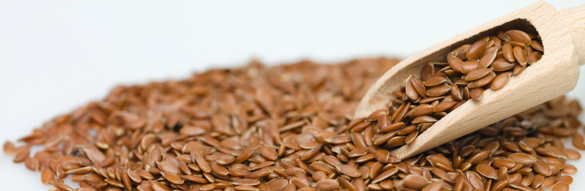 Sementes de Linhaça - Liliana Janicas