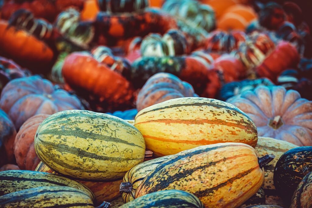 pumpkins, harvest, autumn-3759587.jpg