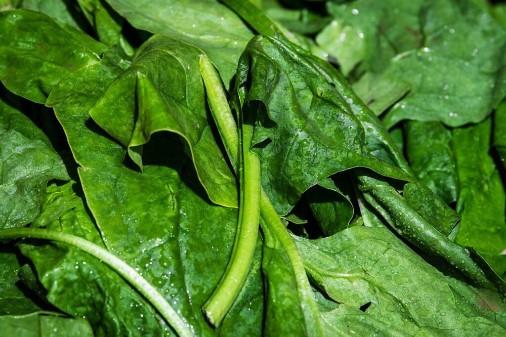 spinach, leaf spinach, vegetables-3463248.jpg