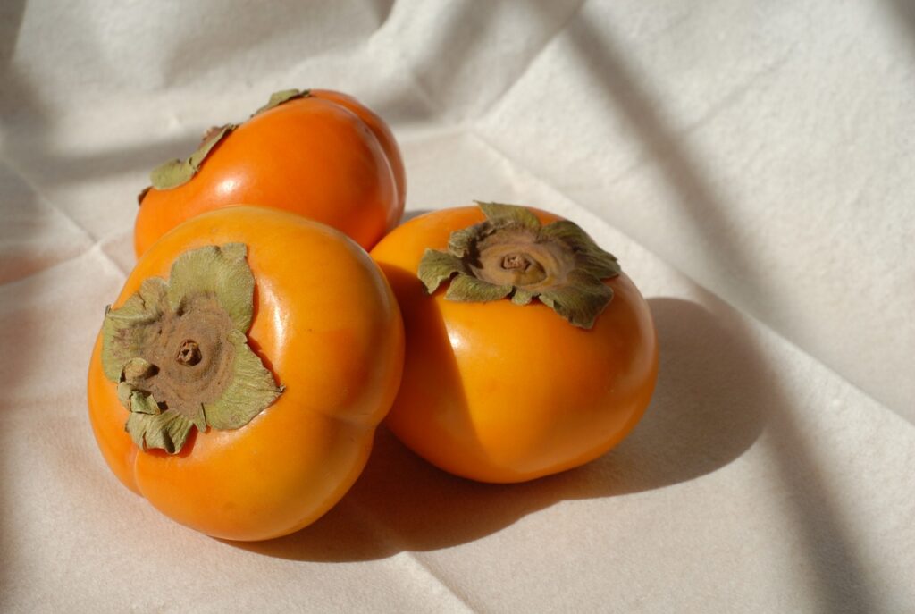 persimmons, fruit, fresh-1456186.jpg