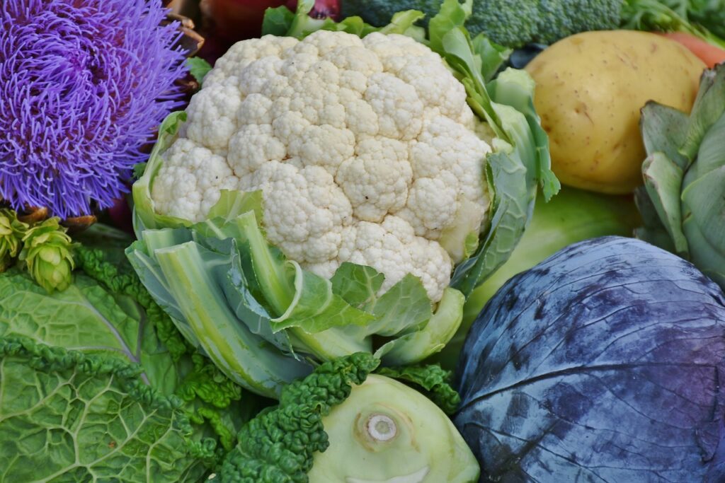 cauliflower, red cabbage, savoy-1644626.jpg