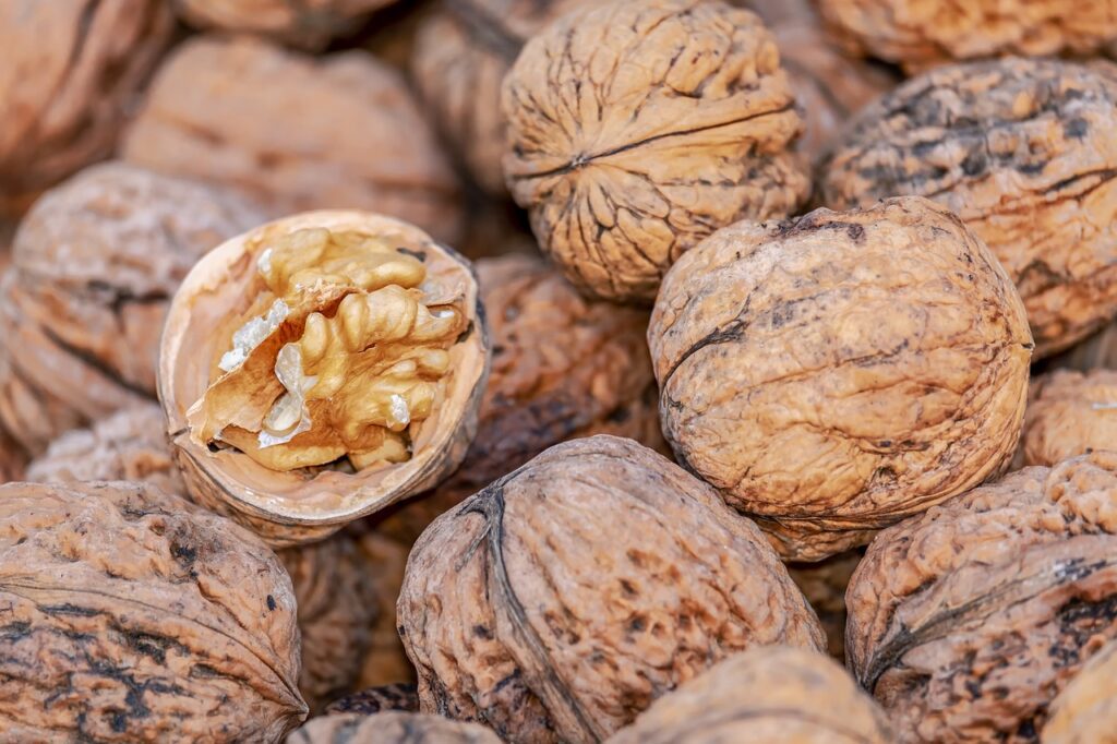 nuts, walnuts, brown-4062624.jpg