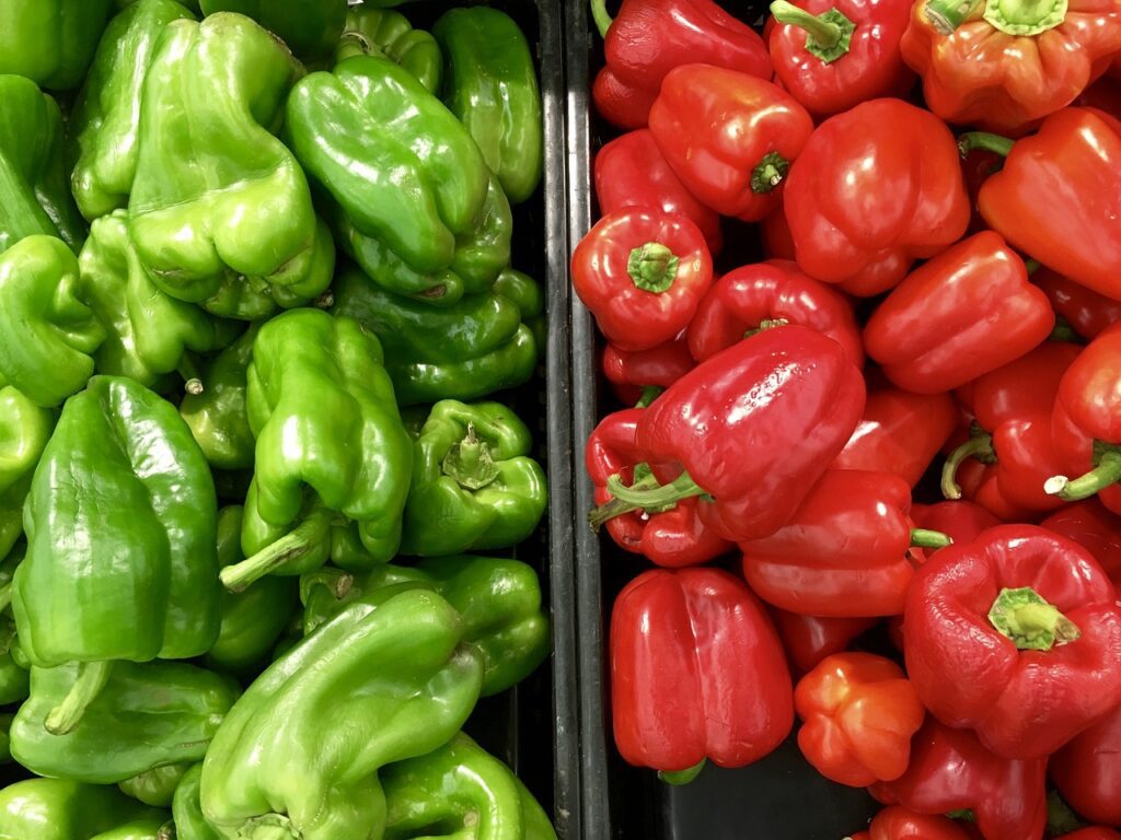 agriculture, bell pepper, capsicum-1846044.jpg